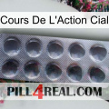 Cial Stock Price 30